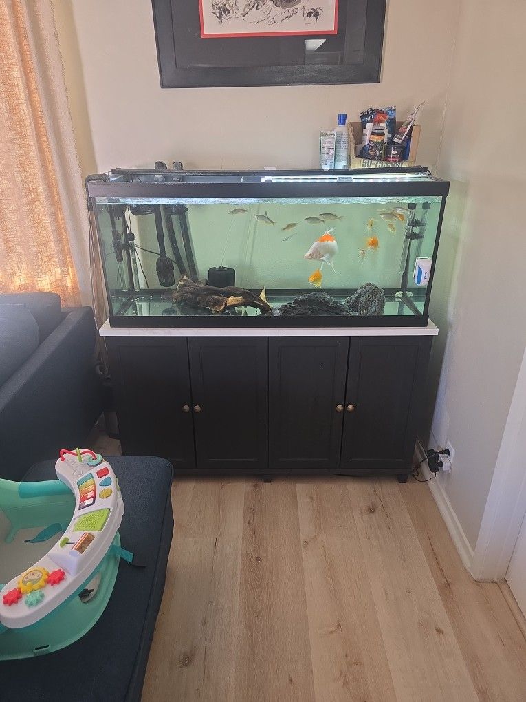 75 Gal Tank With Stand 