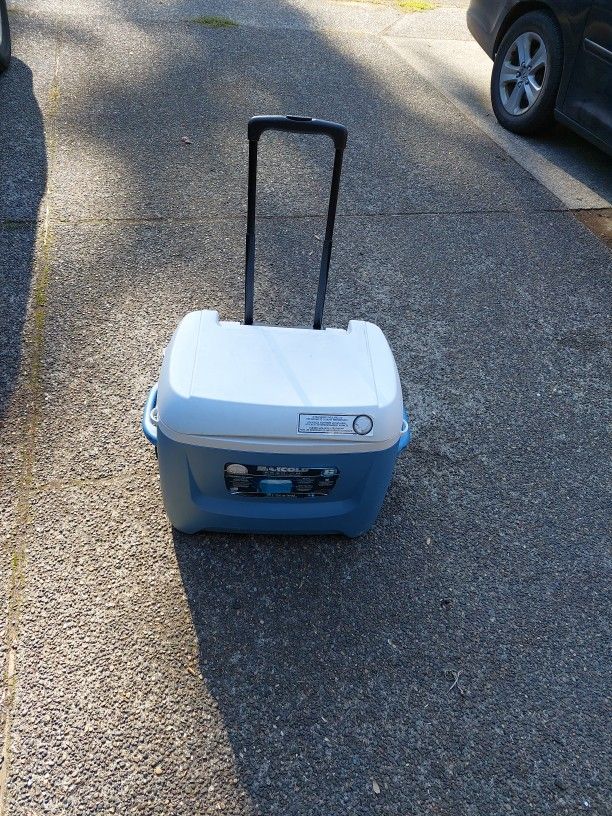 Igloo Cooler