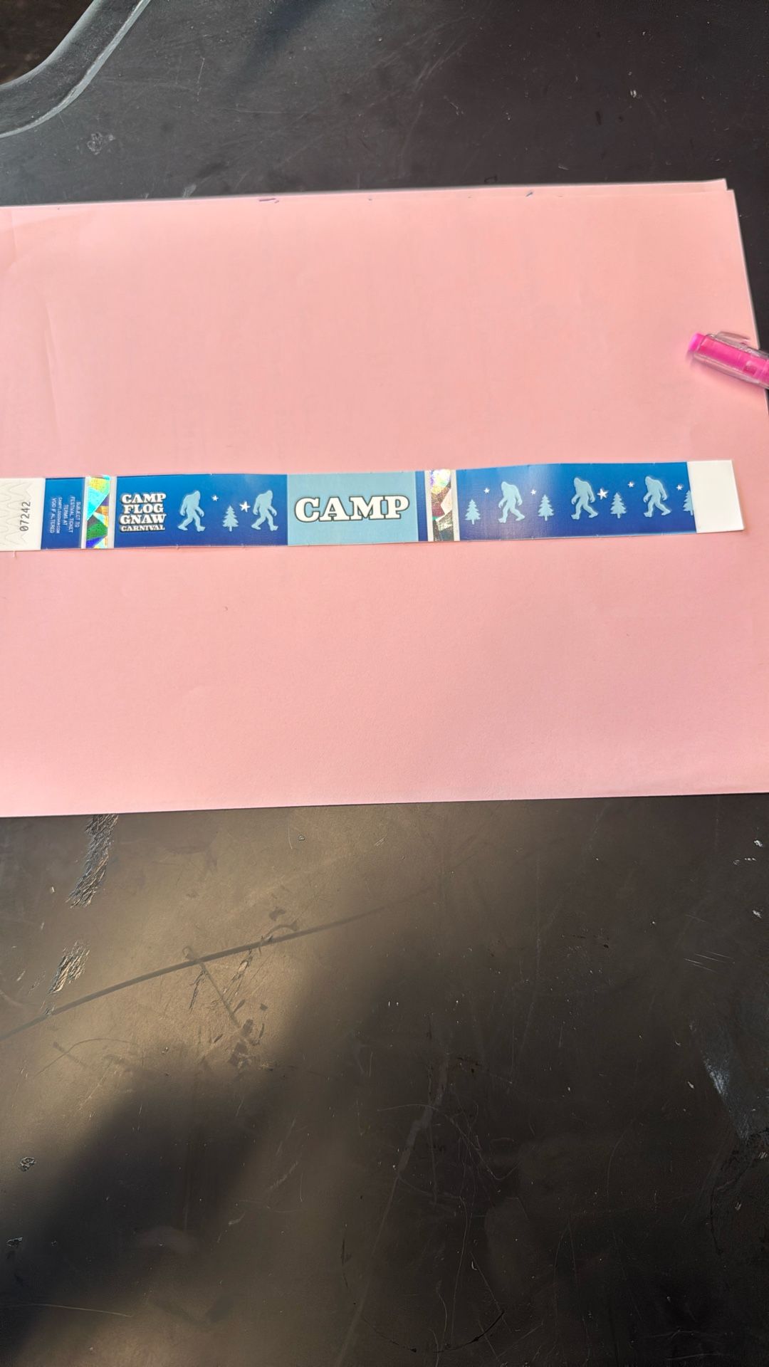 Camp Flog Gnaw ticket