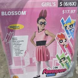 Brand New Halloween Costume