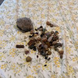 Rare Gem And Fossil Lot Rare