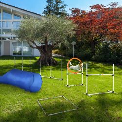 Dog Jumps, Weave Poles And Circle Jump. All In Bag For Easy Carrying
