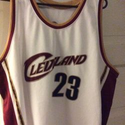 LeBron Raymone. James