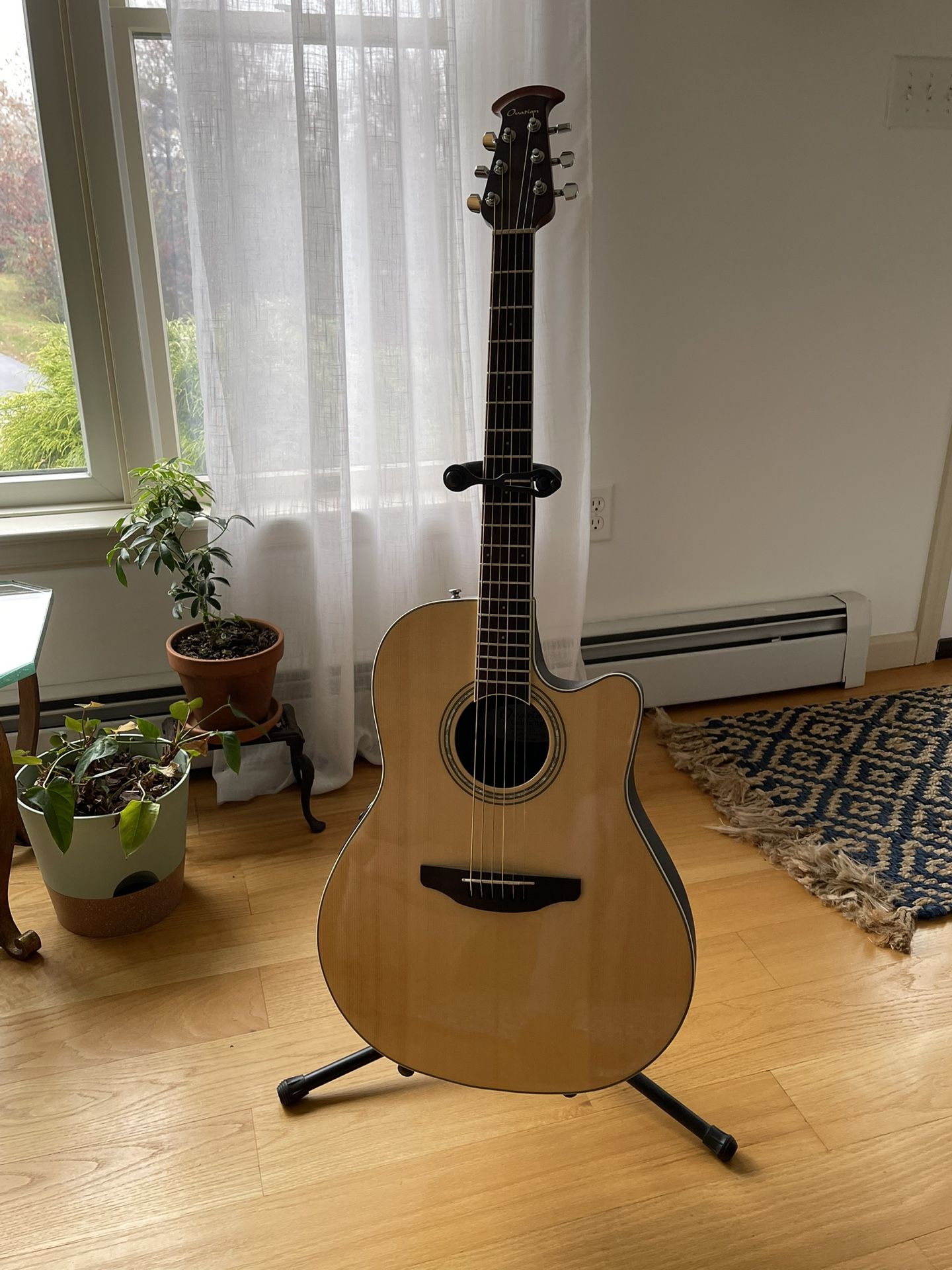 2019 Ovation Celebrity