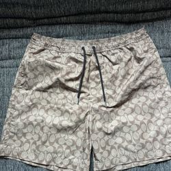 Coach Swim Trunks