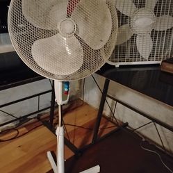 Vintage Fans