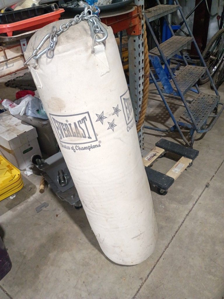 Punching Bag