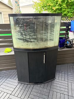 Bow Front Aquarium Tank with Stand