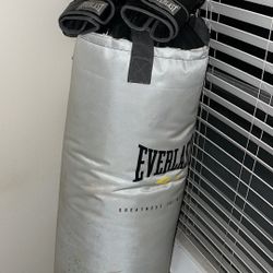 Punching Bag With gloves