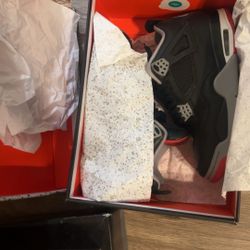 Jordan 4s 