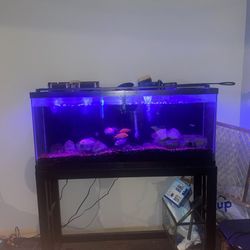 Aquariums For Sale