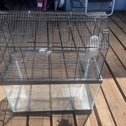 Hamster Home