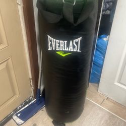 Everlast Punching Bag