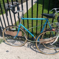 Blue Bike Is $180, and the White One is $100