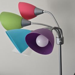 Adjustable Floor Lamp