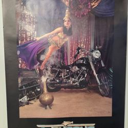 CHROME SPECIALIST Poster