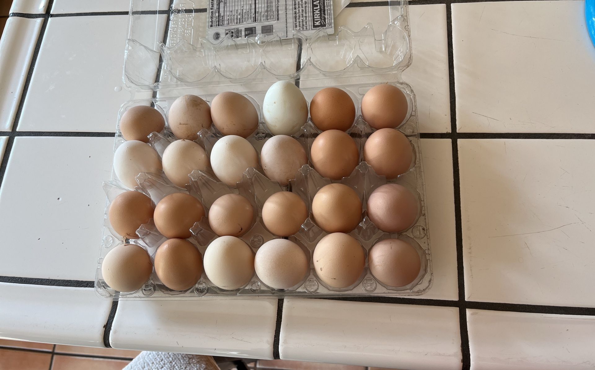 100% ORGANIC FREE RANGE LARGE EGGS