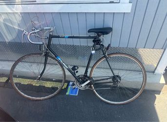 Raleigh Bike