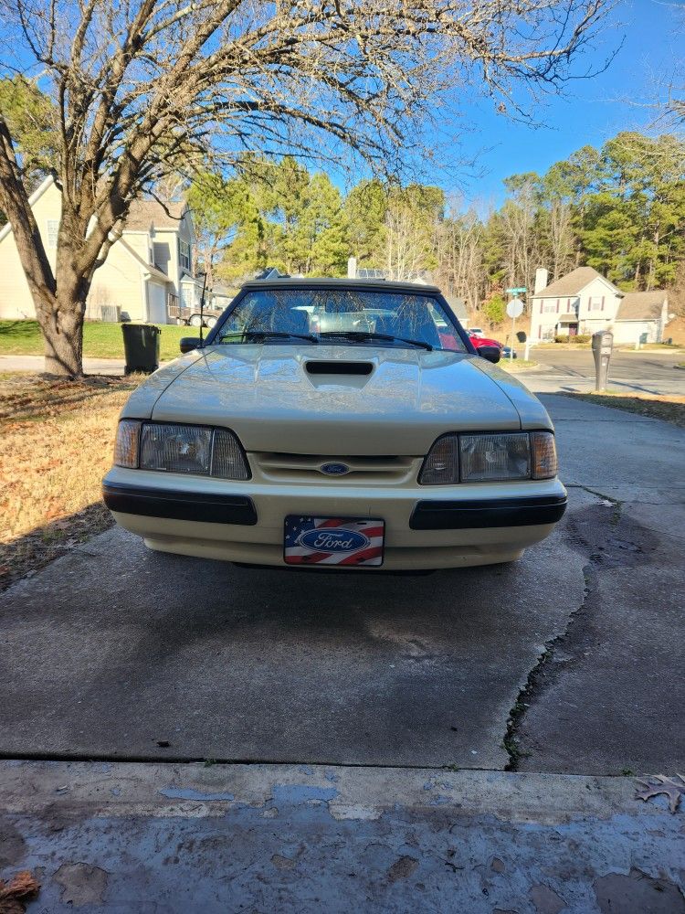 1989 Ford Mustang