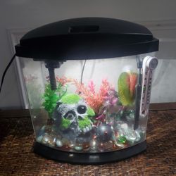 Small Aquarium