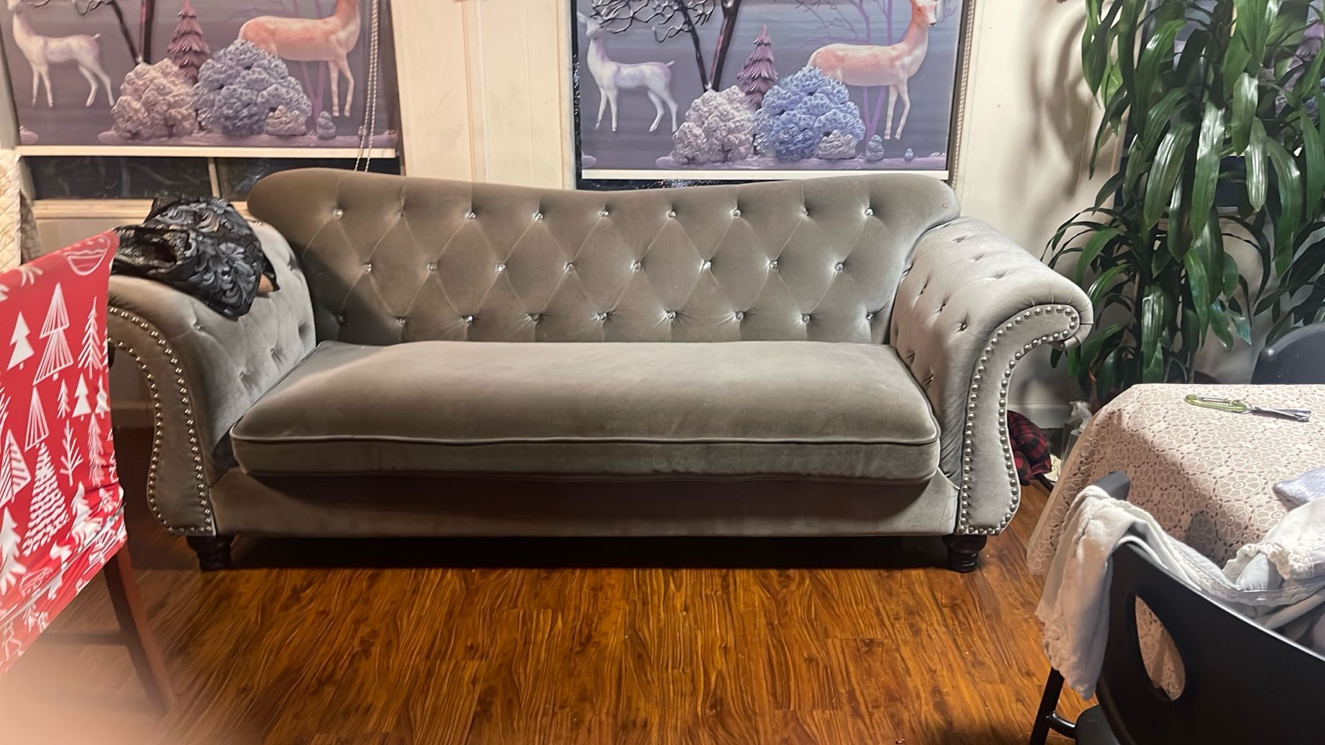 Used Sofa