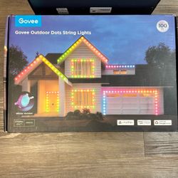 Govee Outdoor Dots String Lights 100 Ft