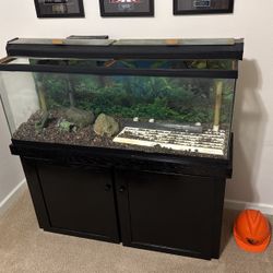 55 Gallon Fish Tank 