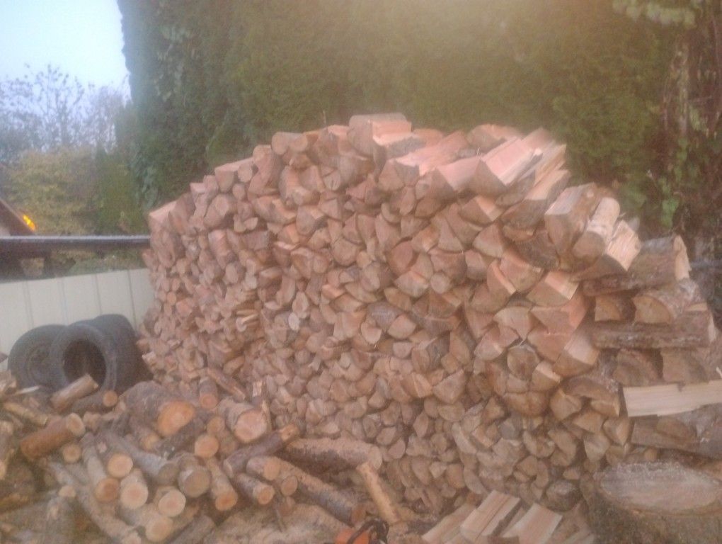 Dry Firewood