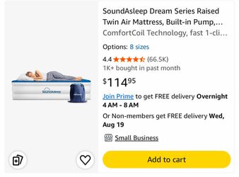SoundAsleep Dream Series Twin Air Mattress