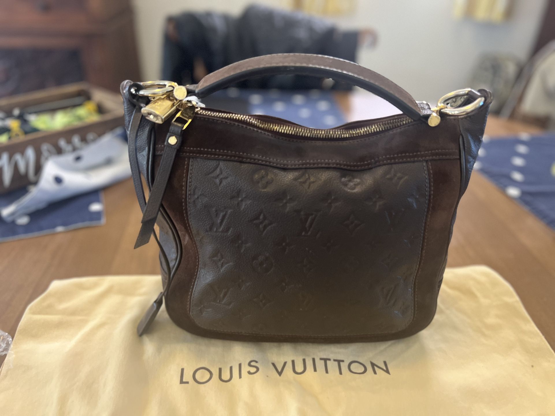 Louis Vuitton Leather/Suede Handbag 