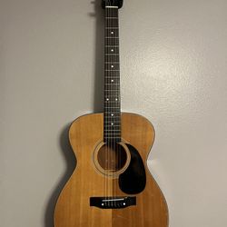 Hondo II Acoustic Guitar