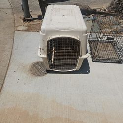 Large Plastic Kennel