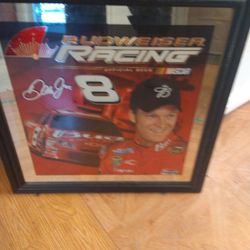 Dale Jr Nascar Plaque 