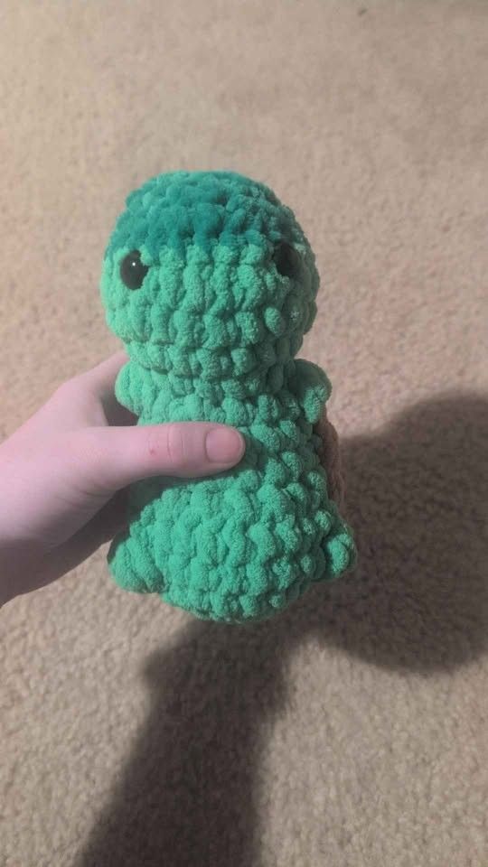 Crochet Turtle
