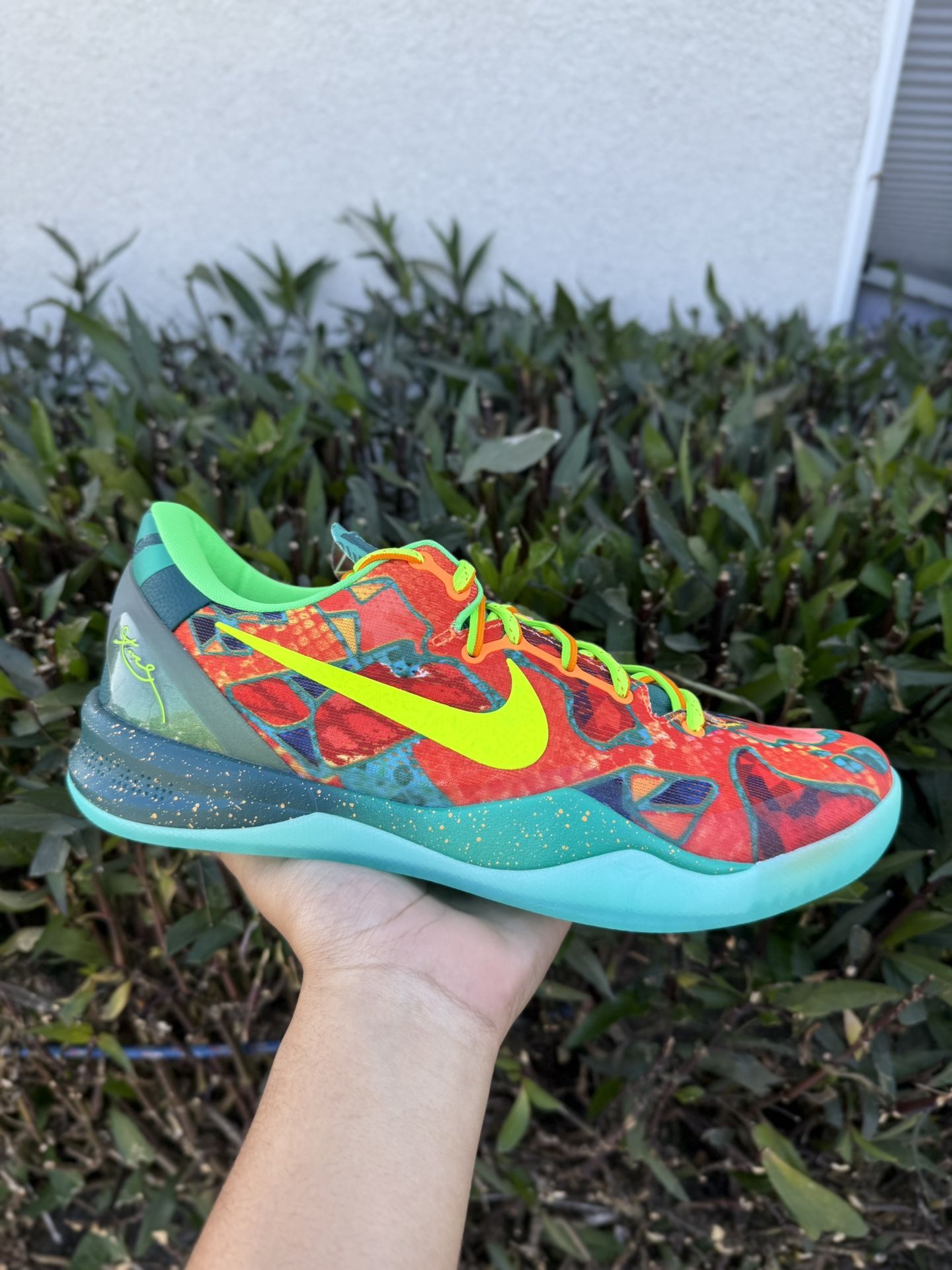 Nike Kobe 8 Protro What The (2025