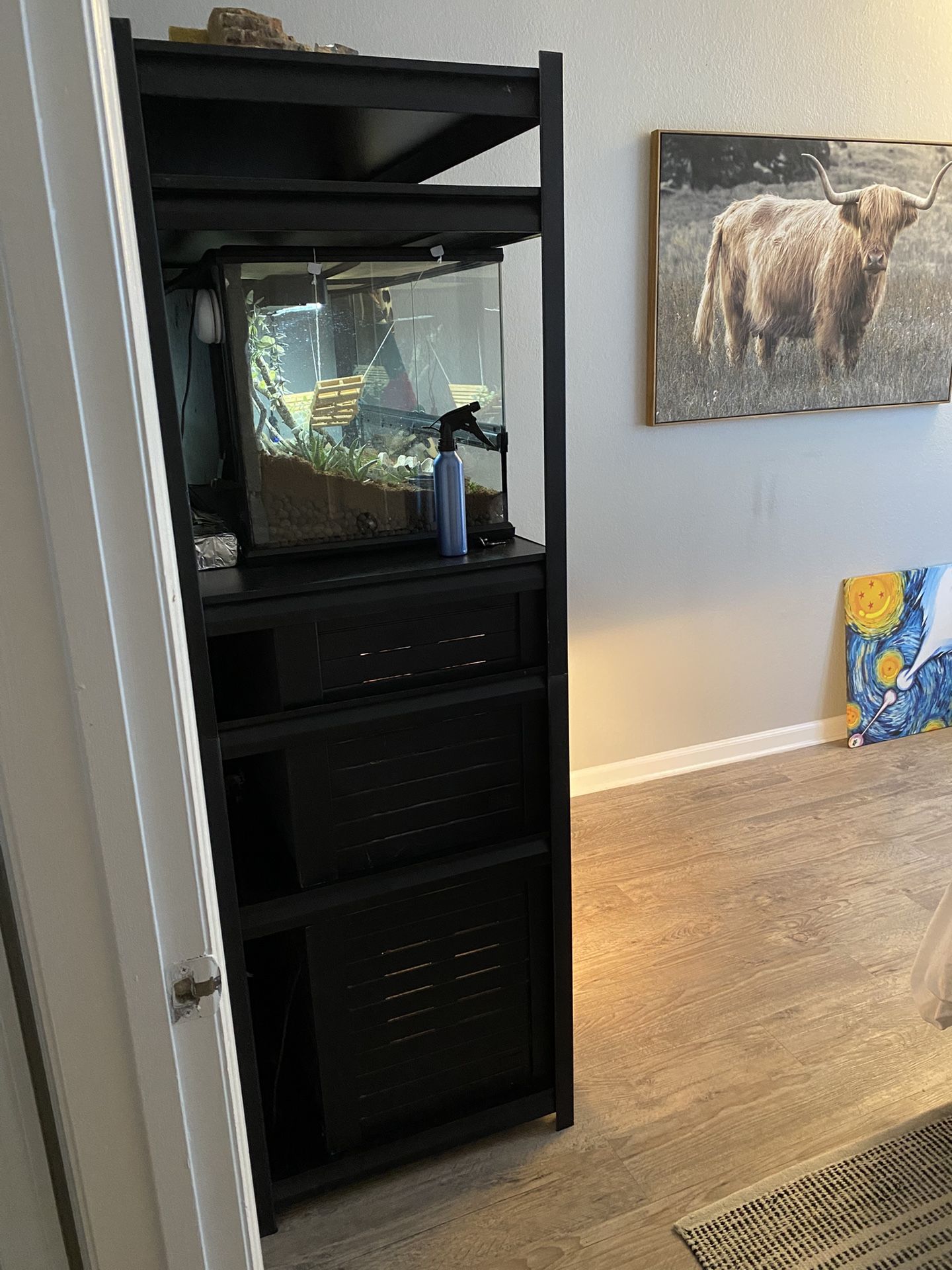 Reptile tanks & Shelving Unit