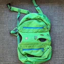 Ruffwear Dog Backpack