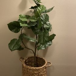 Artificial Plant W Basket 