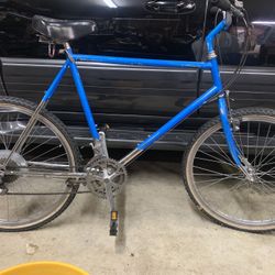 Schwinn Mountain Bike Mens