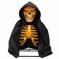 Haunted Living 5-ft Freestanding Motion Activated Talking Lighted Skeleton Animatronic
