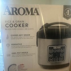 Rice & Grain Cooker 