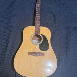 acoustic guitar
