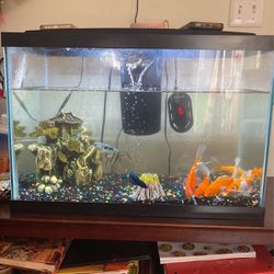 fish tank 30 Gal with fish and vase