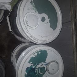 Pinturas Verde $65 Cada Una 