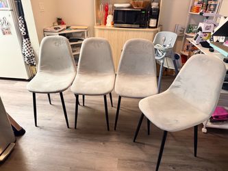 Dining Chairs