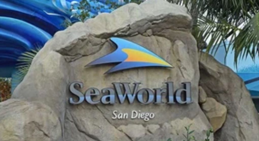 🎟️ SeaWorld San Diego Tickets for Sale! 🎢🐬