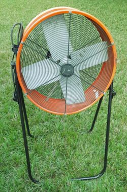 Maxxaire Shop  Fan
