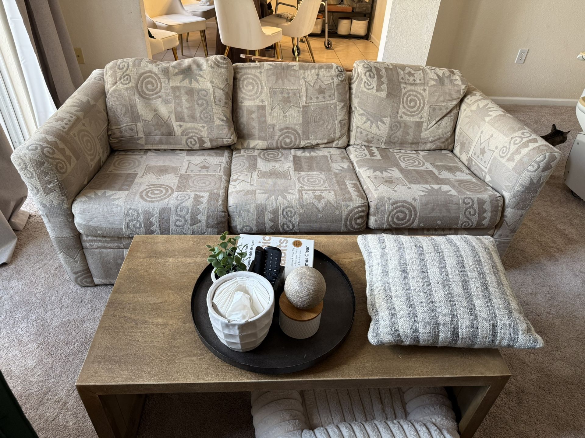 Couch With Pullout Bed