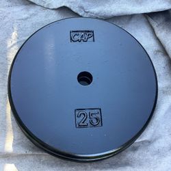 50 Lbs Of Standard Weights 