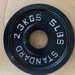 🔥5 lbs Olympic Weight Plate 2-Inch Insert Pair - New (10lbs Total) 💪🏋️